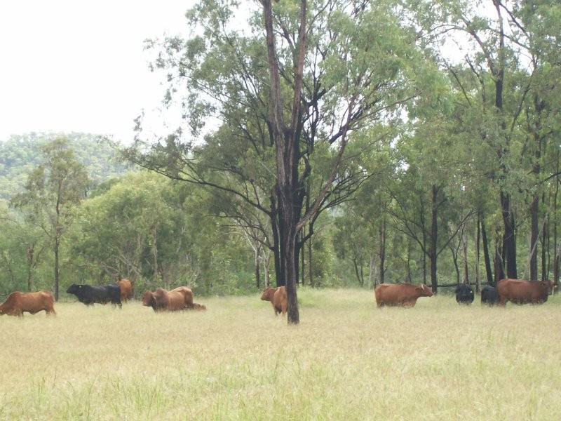 Canoona QLD 4702