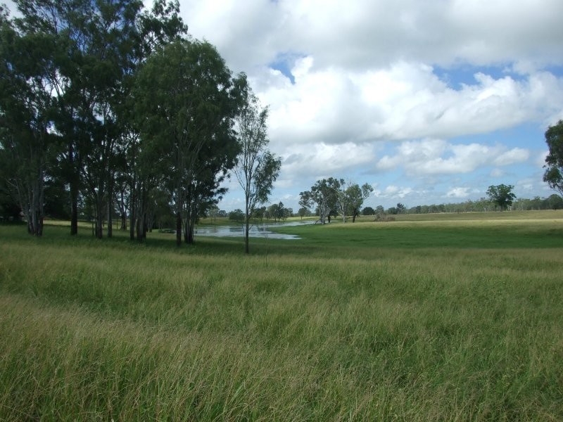 1728 South Yaamba Road, South Yaamba QLD 4702