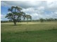 1728 South Yaamba Road, South Yaamba QLD 4702