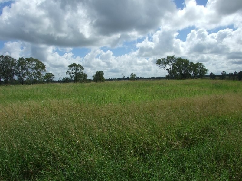 1728 South Yaamba Road, South Yaamba QLD 4702