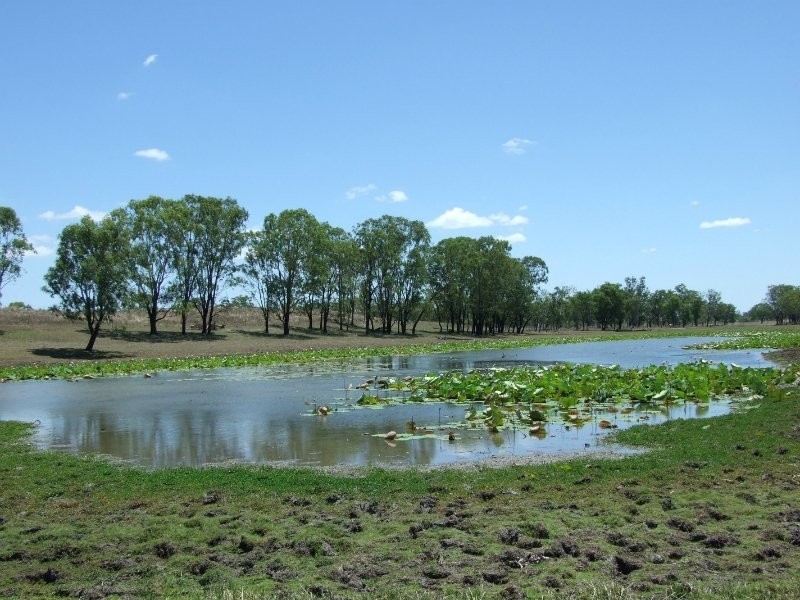 1728 South Yaamba Road, South Yaamba QLD 4702