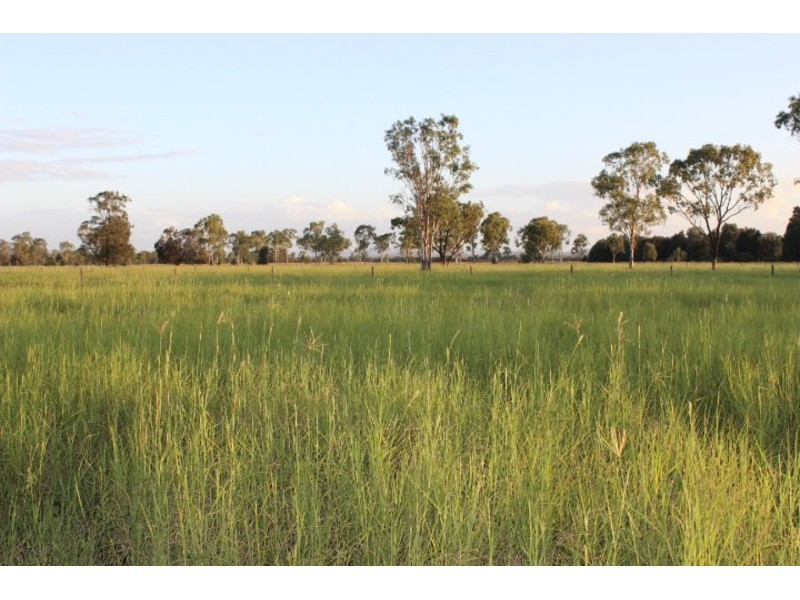 985 Ridgelands Road, Alton Downs QLD 4702