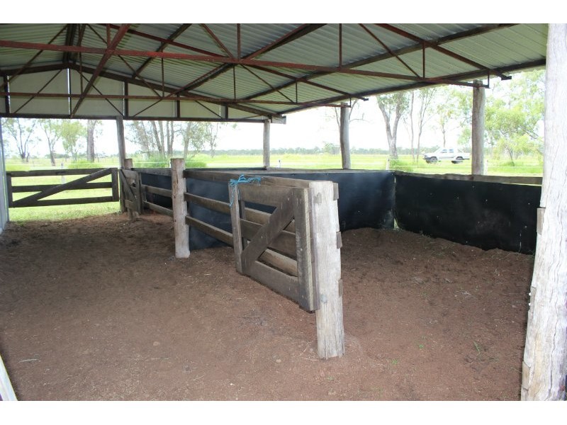 985 Ridgelands Road, Alton Downs QLD 4702