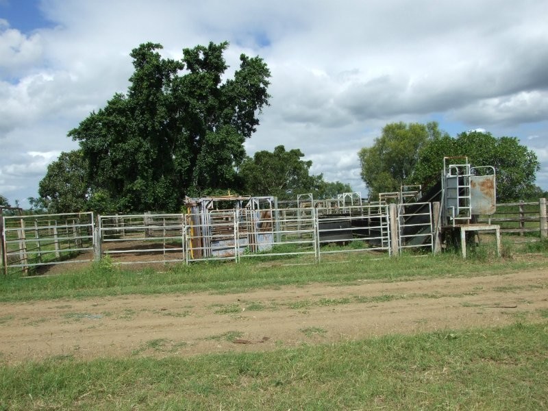 189 Stracey Road, Alton Downs QLD 4702