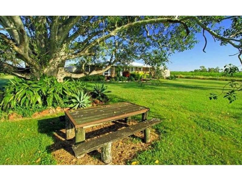 189 Stracey Road, Alton Downs QLD 4702