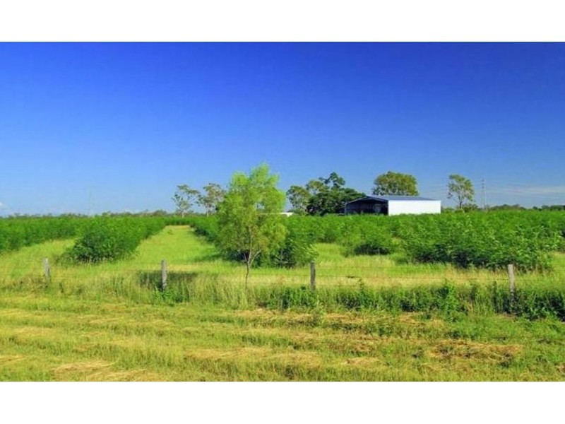 189 Stracey Road, Alton Downs QLD 4702