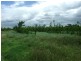 189 Stracey Road, Alton Downs QLD 4702