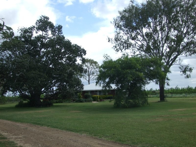 189 Stracey Road, Alton Downs QLD 4702