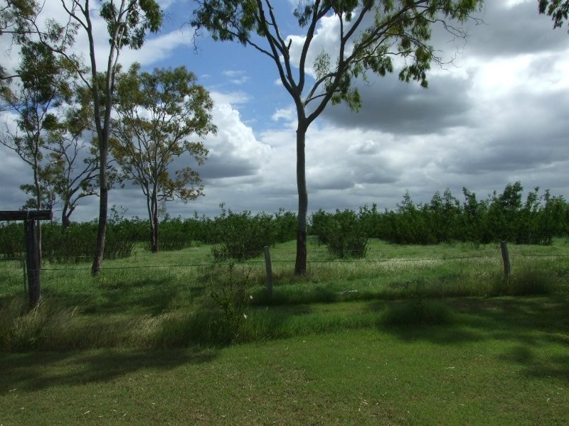189 Stracey Road, Alton Downs QLD 4702