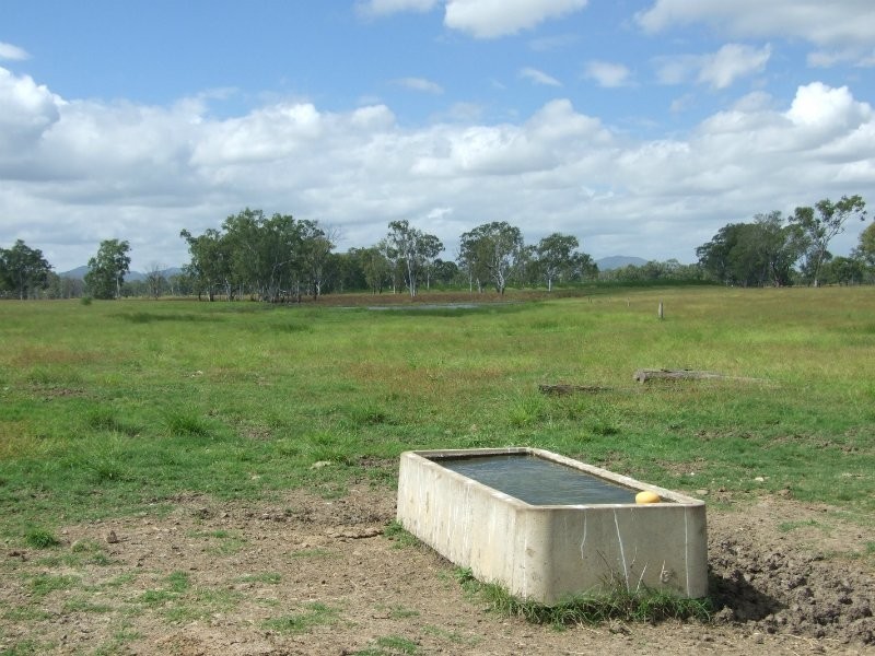 189 Stracey Road, Alton Downs QLD 4702