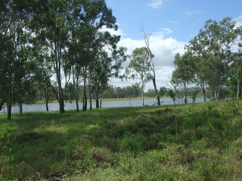 189 Stracey Road, Alton Downs QLD 4702