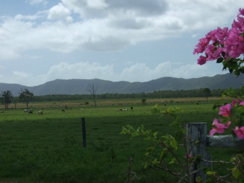 000 Bruce Highway, Clairview QLD 4741