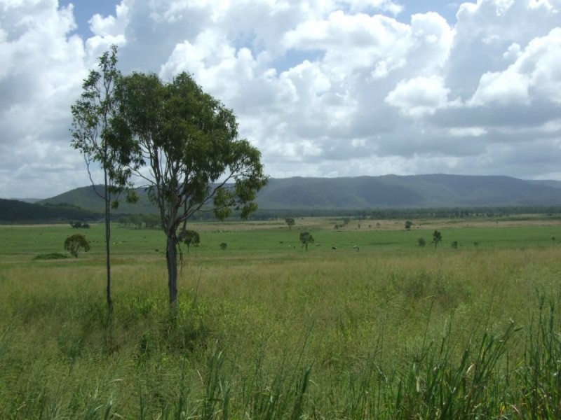 000 Bruce Highway, Clairview QLD 4741