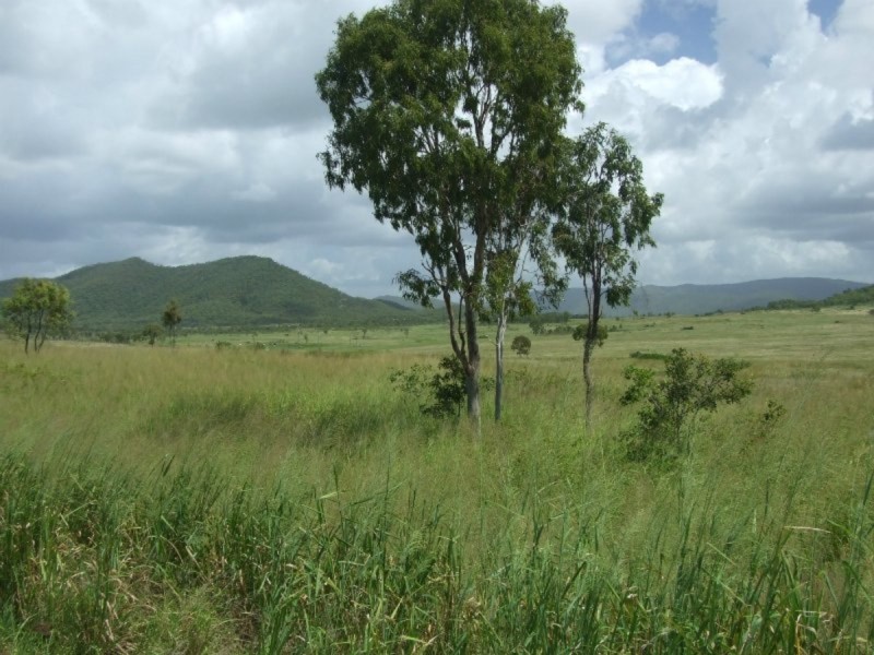 000 Bruce Highway, Clairview QLD 4741