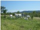 Available on request, Alton Downs QLD 4702