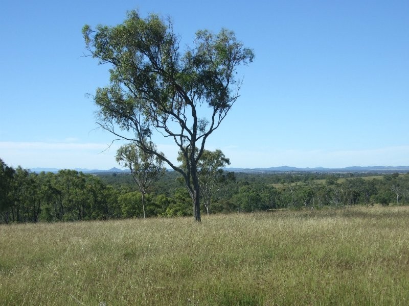 Available on request, Alton Downs QLD 4702