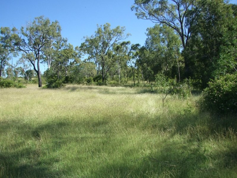 Available on request, Alton Downs QLD 4702