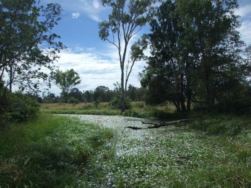 24 Andy Road, Morinish QLD 4702