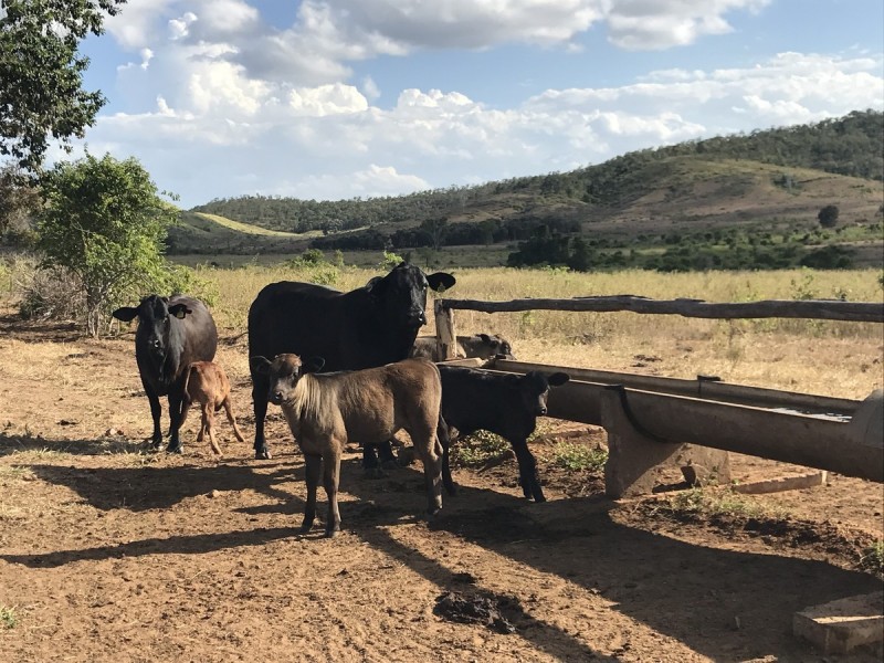 24 Andy Road, Morinish QLD 4702