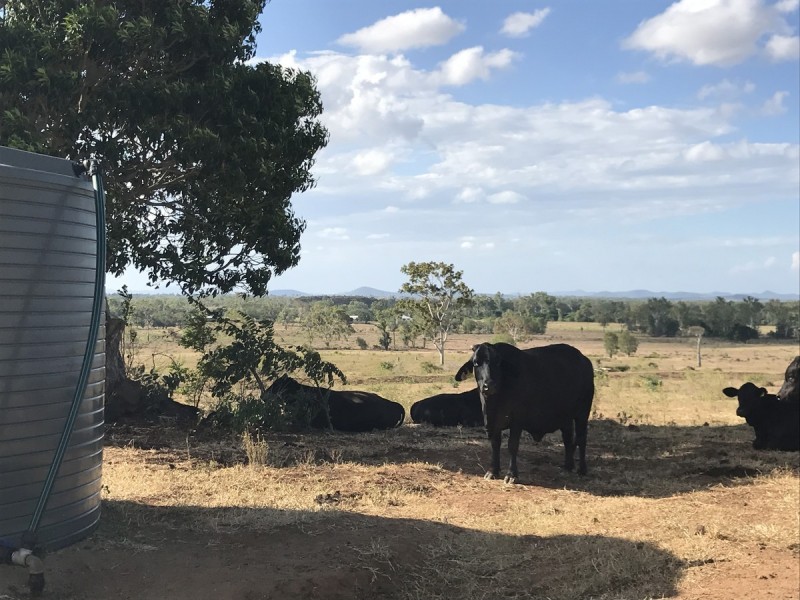 24 Andy Road, Morinish QLD 4702