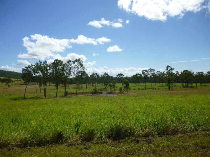 1135 Mt Chalmers Rd, Mount Chalmers QLD 4702