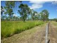1135 Mt Chalmers Rd, Mount Chalmers QLD 4702