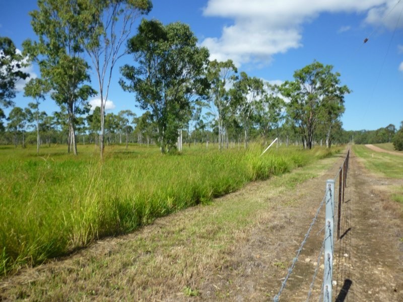 1135 Mt Chalmers Rd, Mount Chalmers QLD 4702