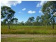 1135 Mt Chalmers Rd, Mount Chalmers QLD 4702