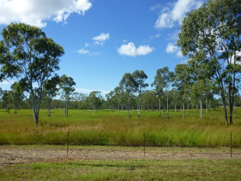 1135 Mt Chalmers Rd, Mount Chalmers QLD 4702