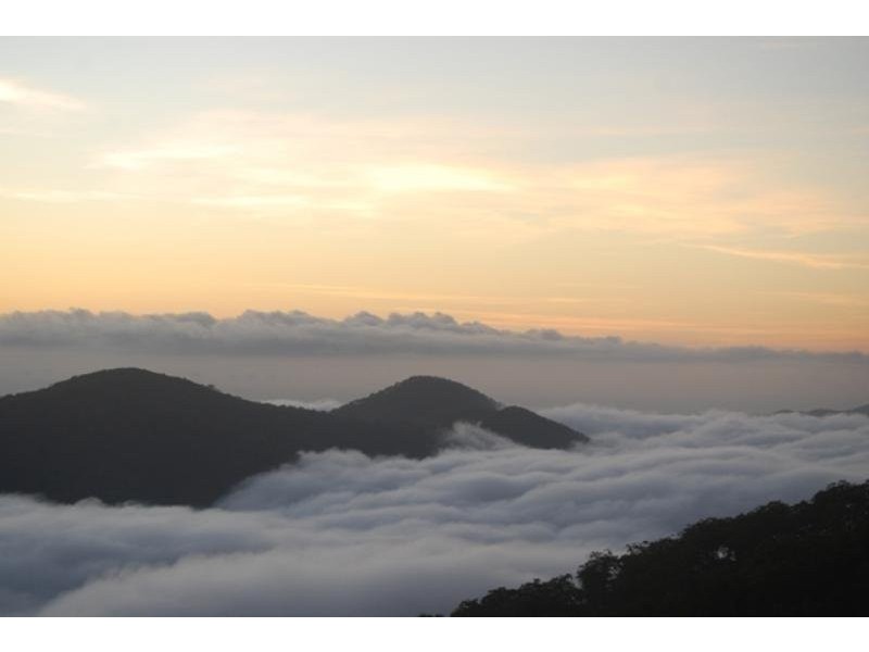 Mount Archer QLD 4701