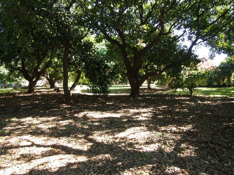 The Range QLD 4700