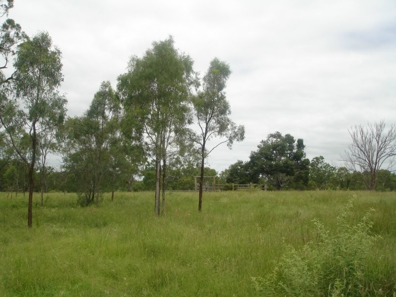 Alton Downs QLD 4702
