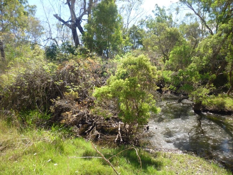 Alton Downs QLD 4702