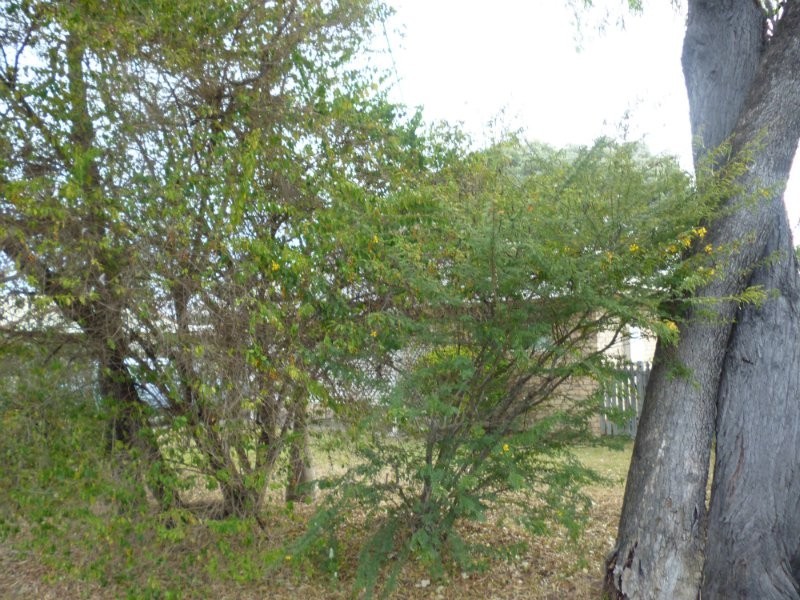 Rockhampton City QLD 4700