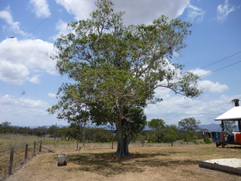 117 Weir View Road, Bajool QLD 4699