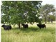 131 Raspberry Creek Road, Kunwarara QLD 4702