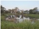 Alton Downs QLD 4702