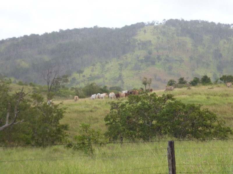 Kalapa QLD 4702