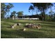 The Caves QLD 4702
