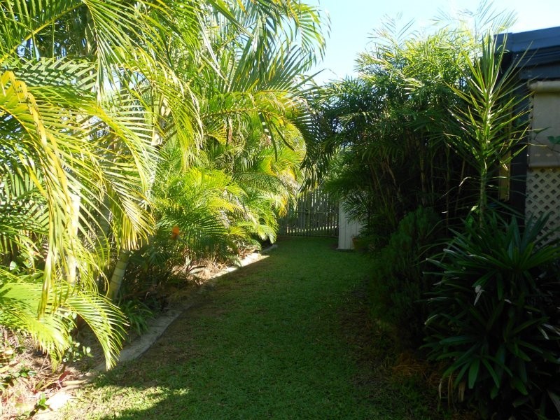Kawana QLD 4701