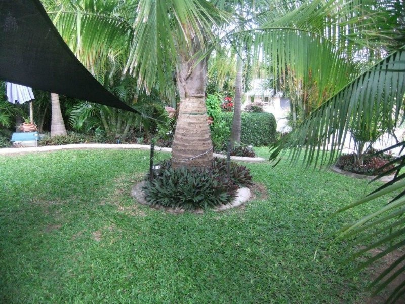 Kawana QLD 4701