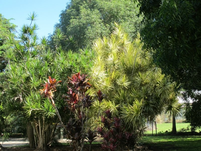 Koongal QLD 4701