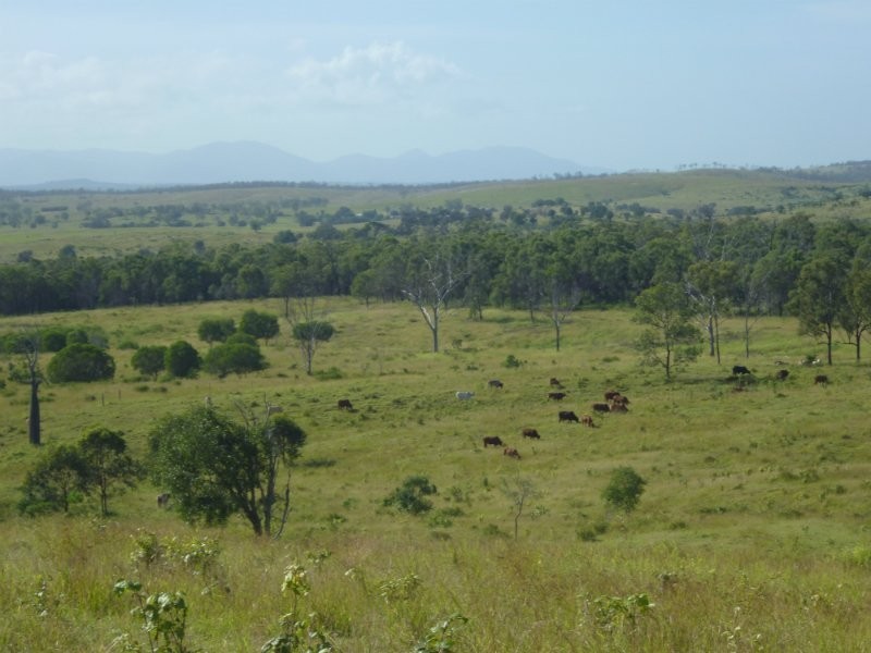 Ridgelands QLD 4702