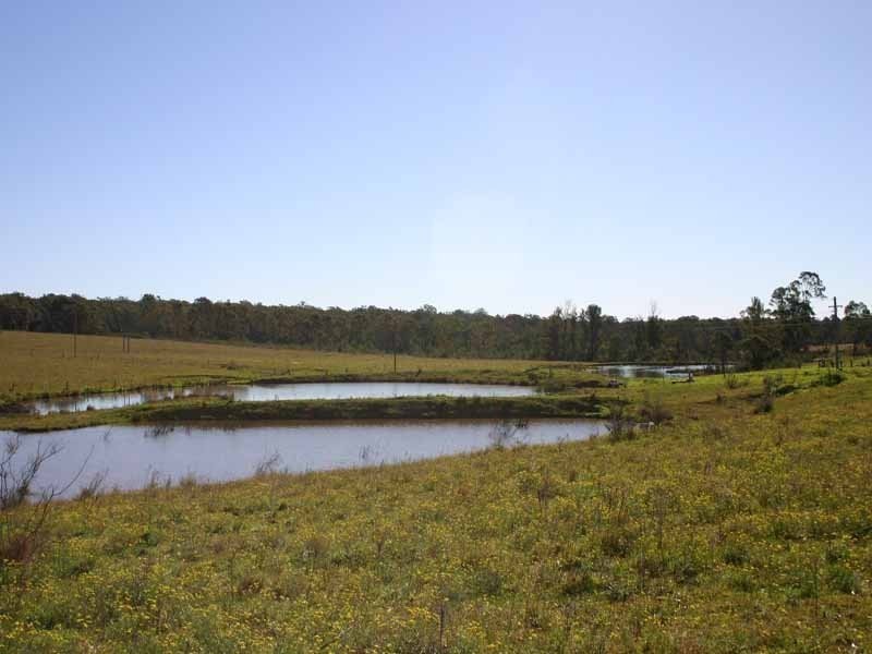 80 Quarry Road, The Oaks NSW 2570