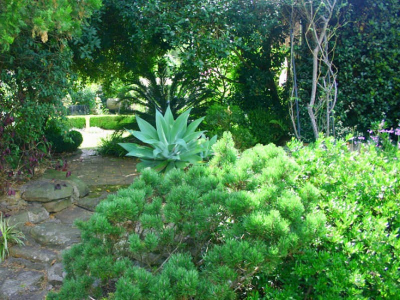 34 Bowman Avenue, Camden NSW 2570