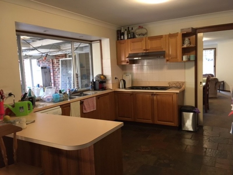 61 Southdown Road, Elderslie NSW 2570