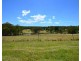1445 Barkers Lodge Road, Oakdale NSW 2570