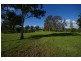 560 Bobs Range Road, Orangeville NSW 2570