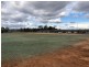 Corner of Hampshire and Maize Avenue, Spring Farm NSW 2570