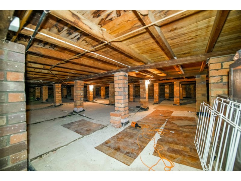 124 The Old Oaks Road, Grasmere NSW 2570